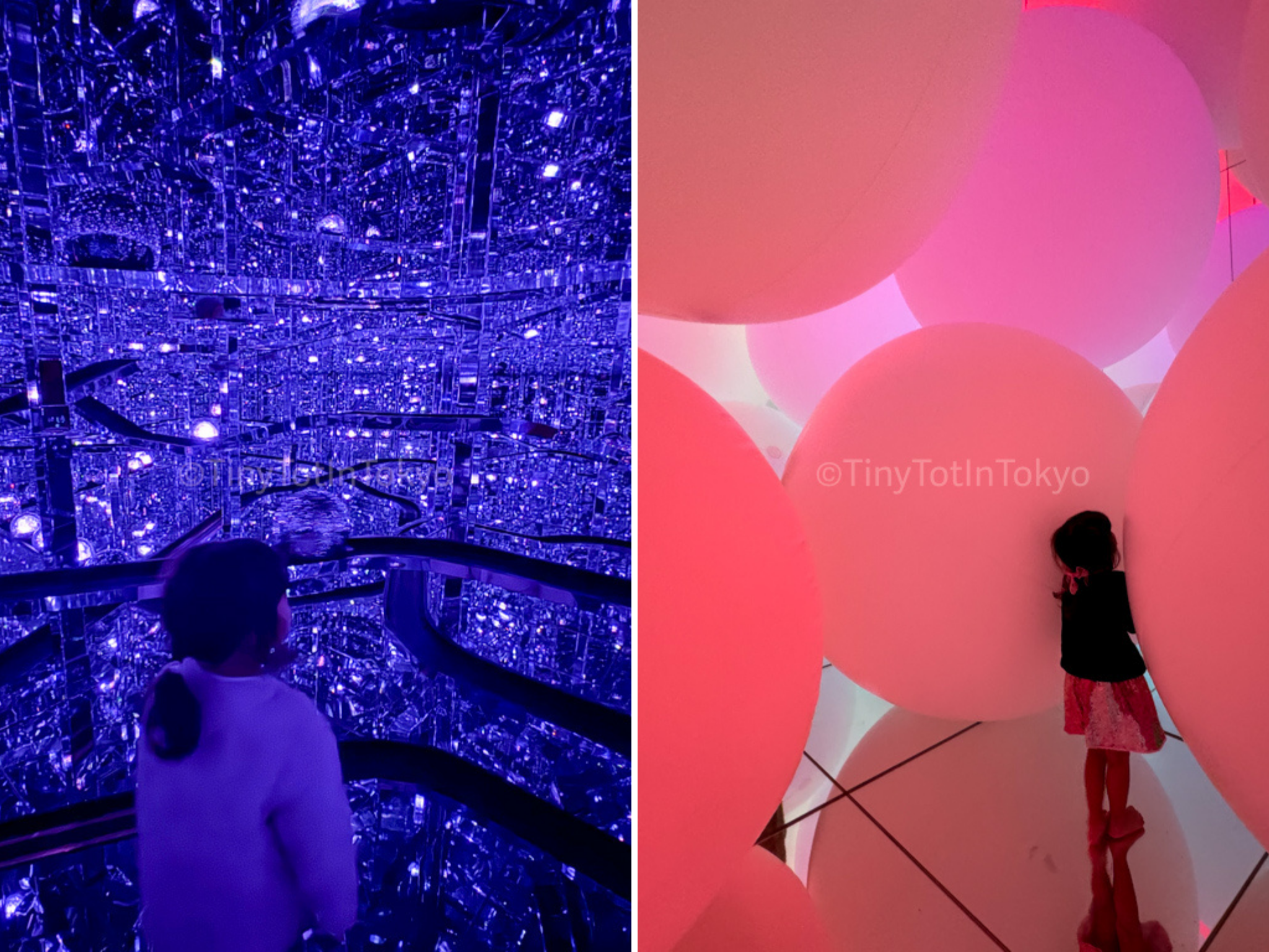 a room in teamLab Borderless compared to teamlab Planets