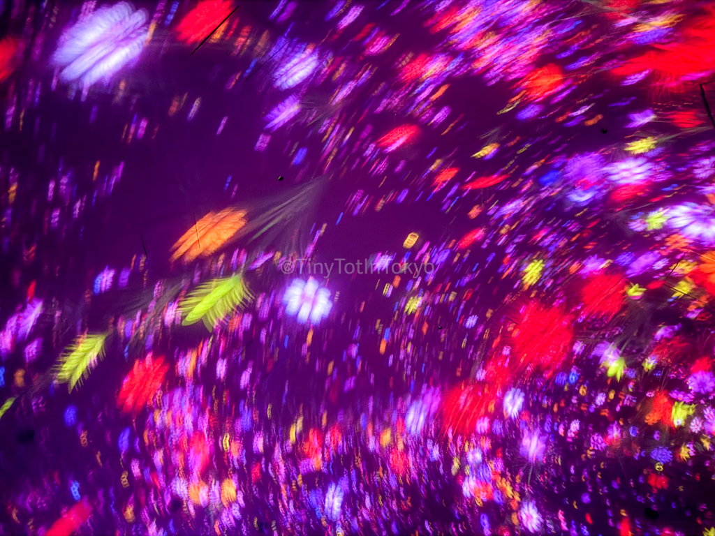 falling flowers room at teamlab planets