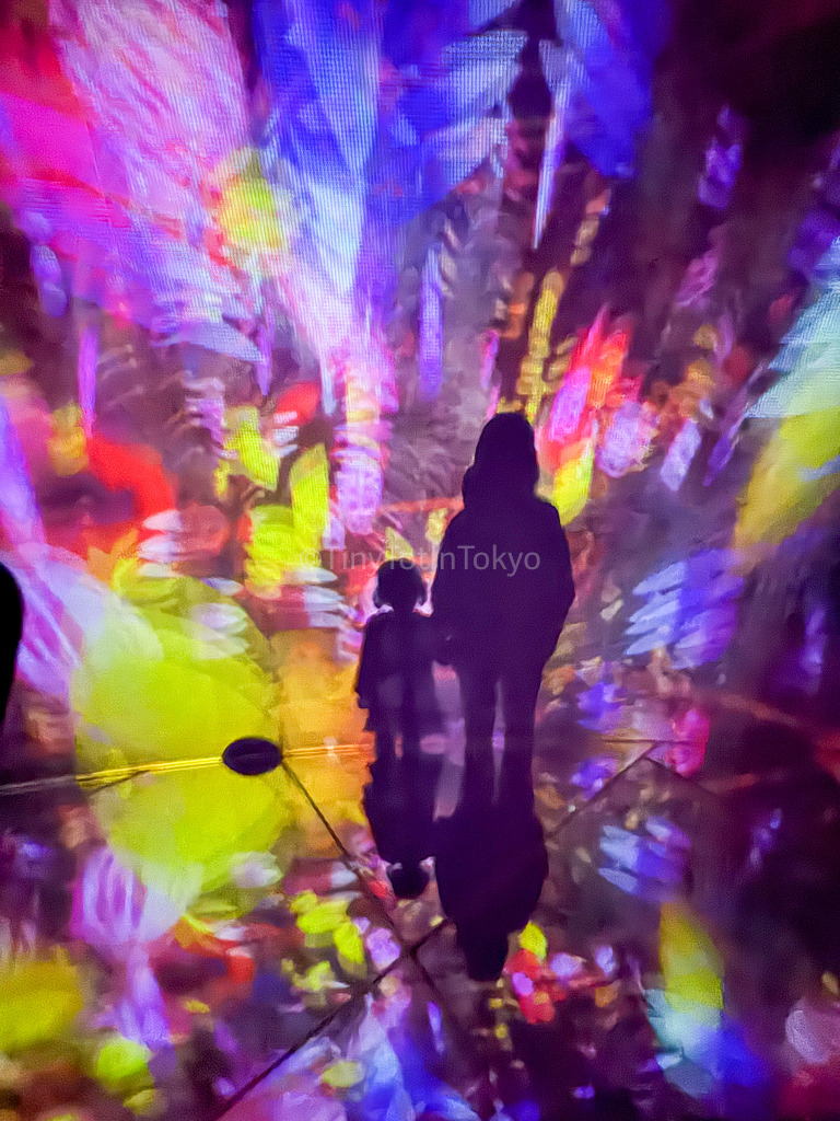 falling flowers room at teamlab planets