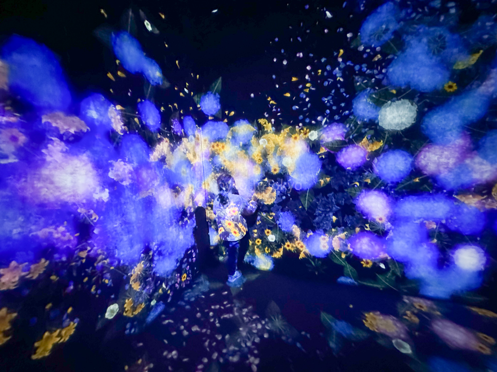 hydrangea in flowers and people room at teamlab borderless with kids 