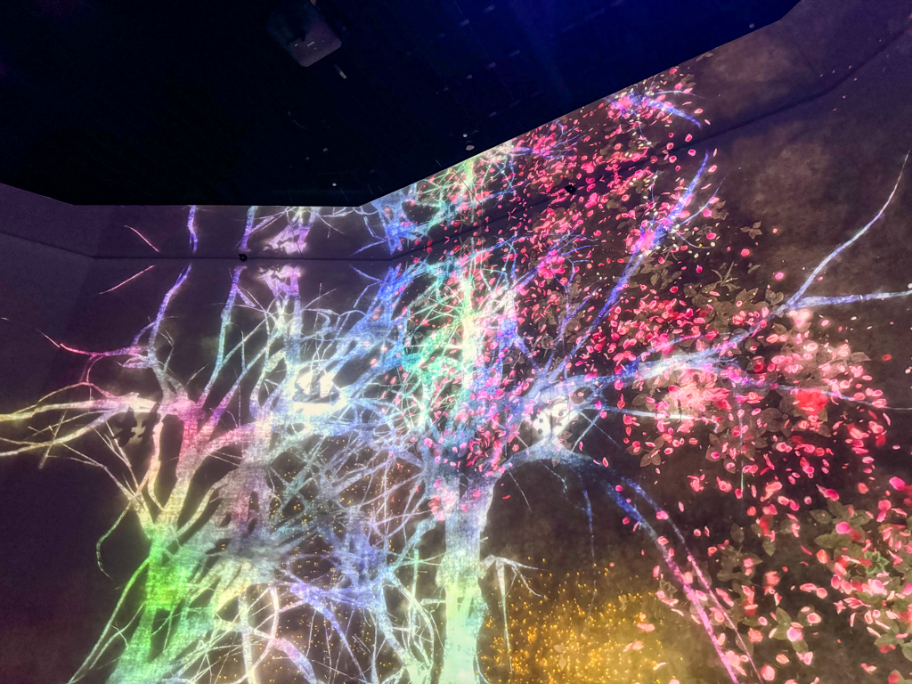 view from water particles room at teamlab borderless with kids 