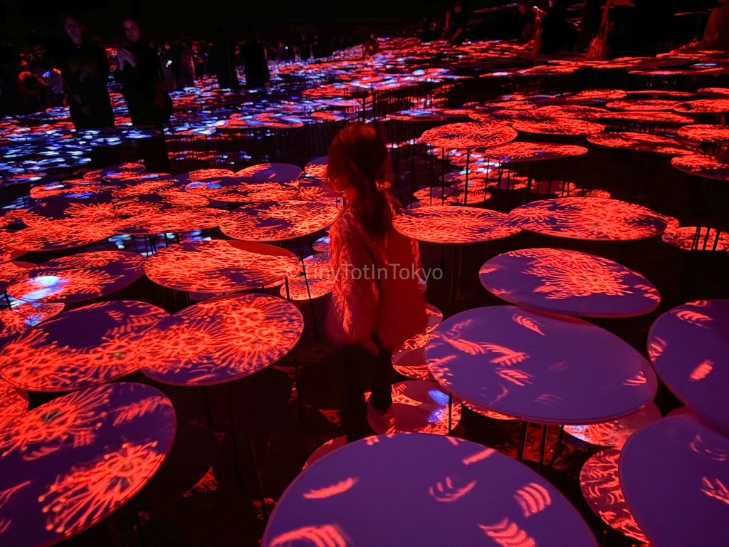 Memory of Topography at teamlab borderless with kids 