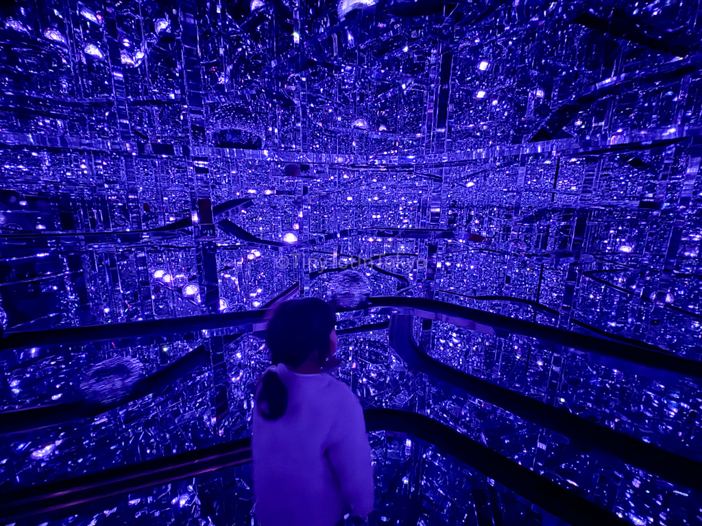 Microcosmos room at teamlab borderless with kids 