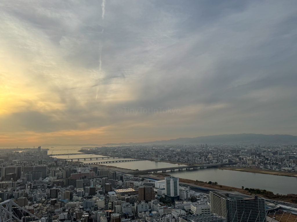 View from Umeda Sky Building