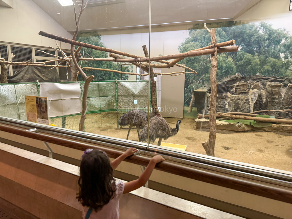 Child looking at animals at Tennoji Zoo in Osaka