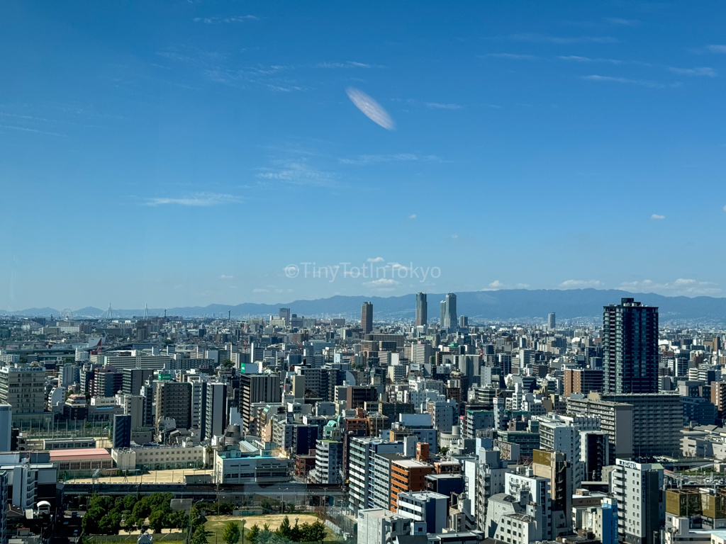 View from Tsutenkaku Tower in Osaka