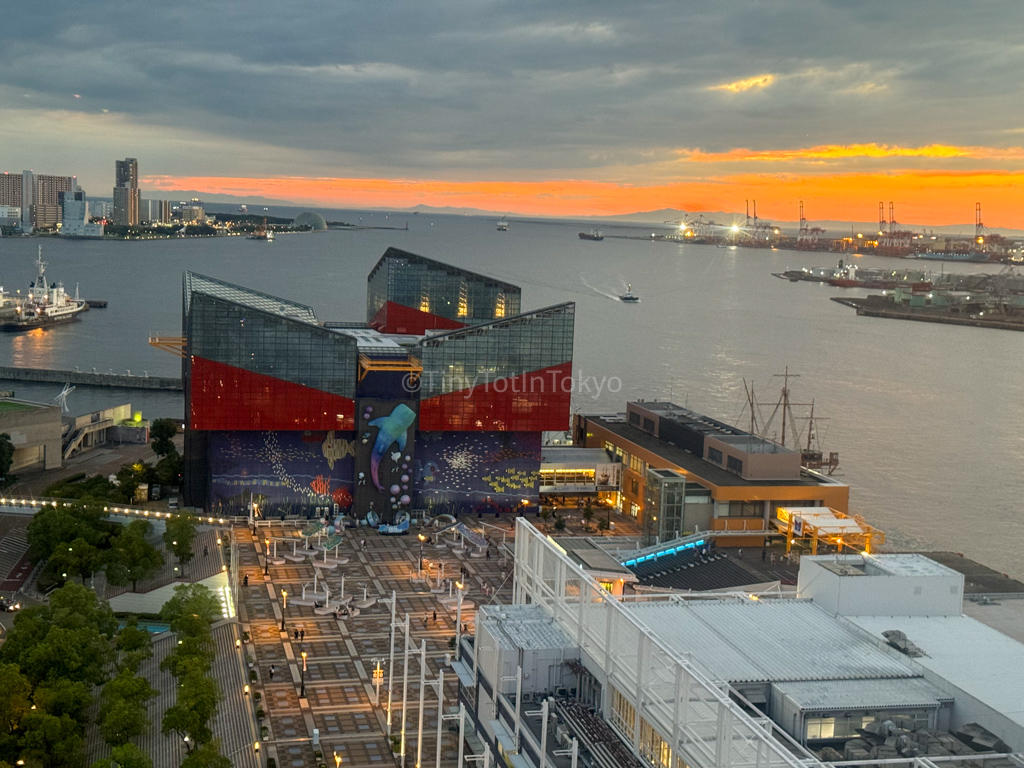 View of Kaiyukan from the Tempozan Ferris Wheel in Japan