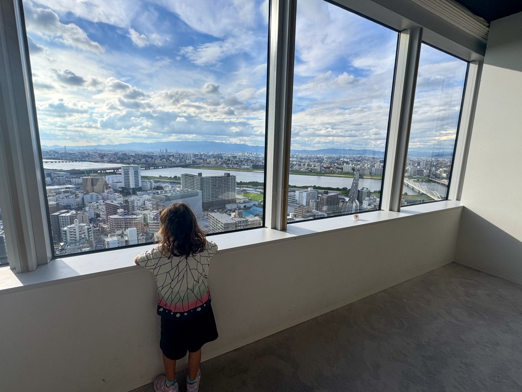 View of Osaka from Koji Kinutani Tenku Art Museum