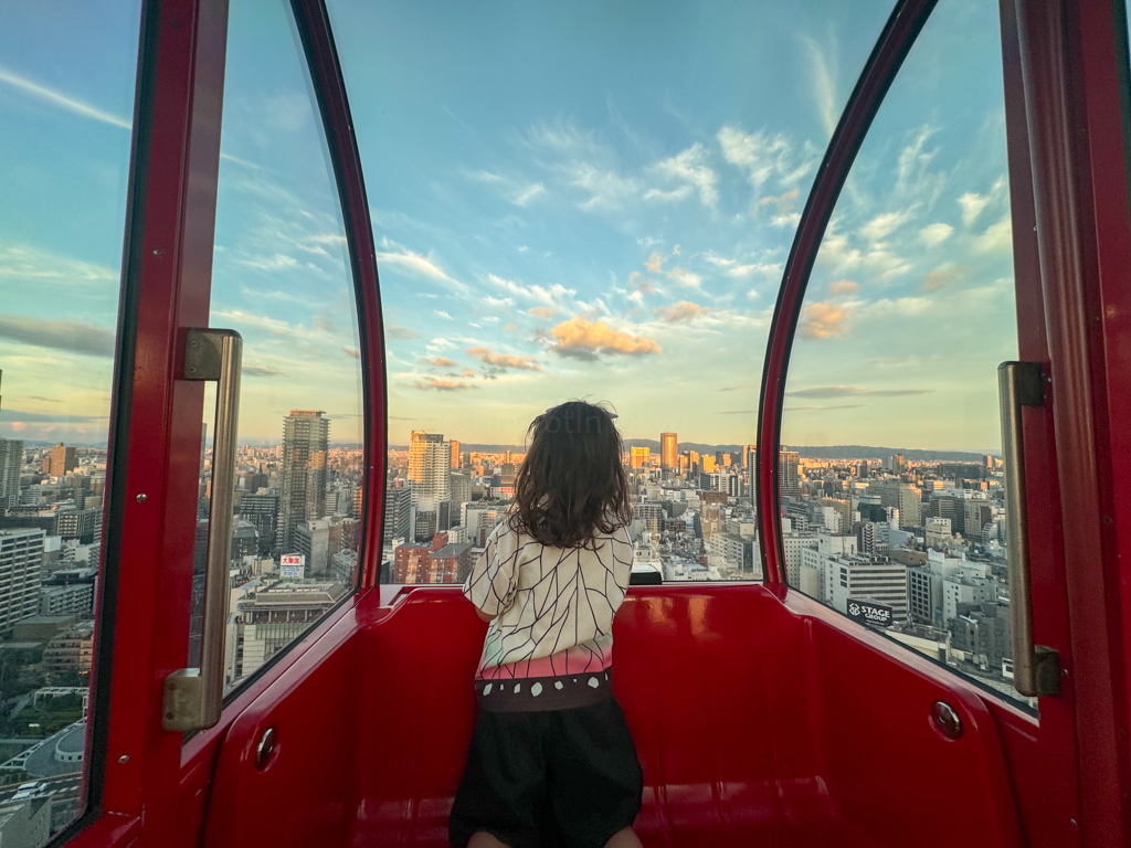 View from HEP Five ferris wheel