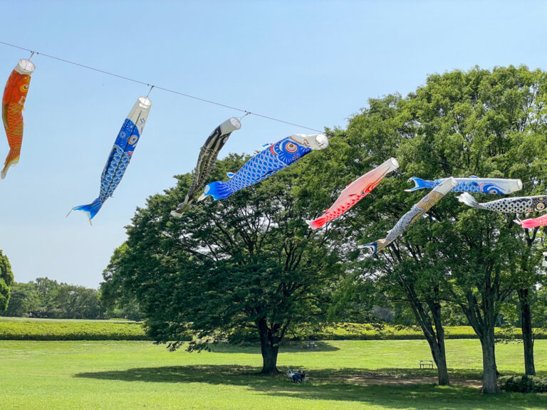 Koinobori Carp Streamers in Japan During Golden Week