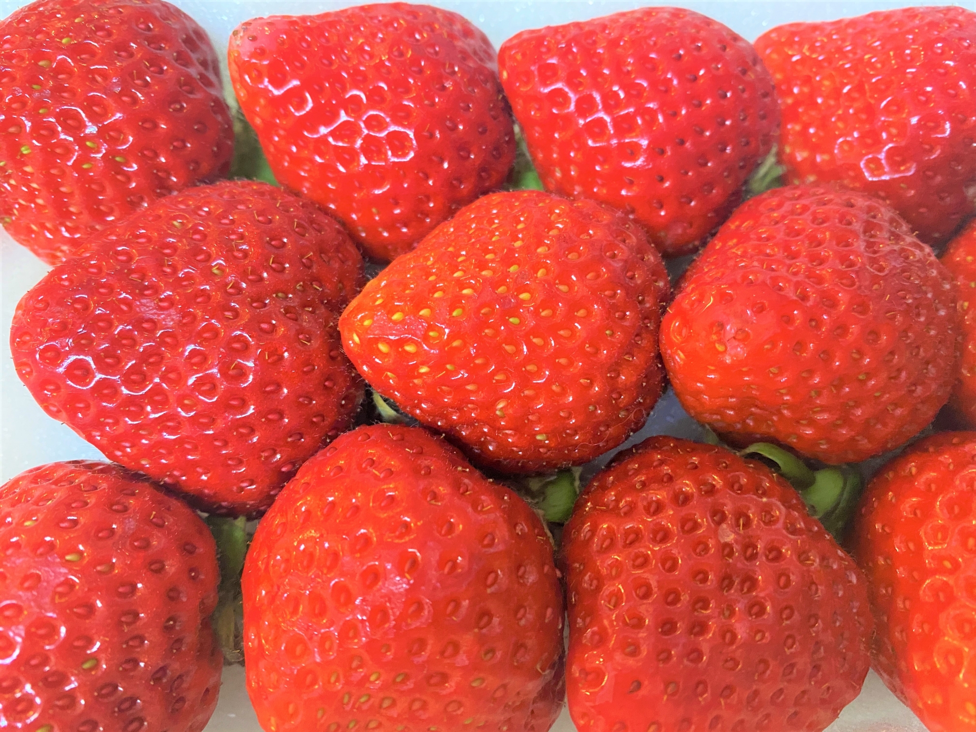 amaou strawberries