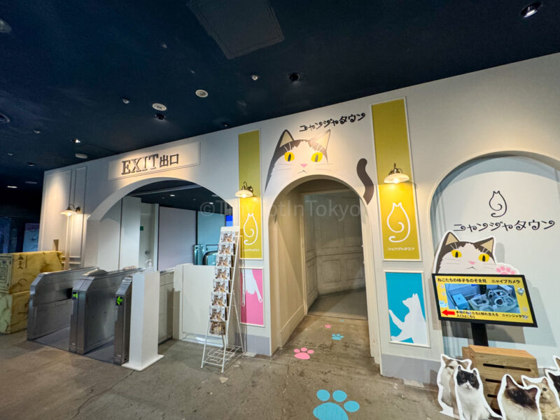 cafe town in sunshine city