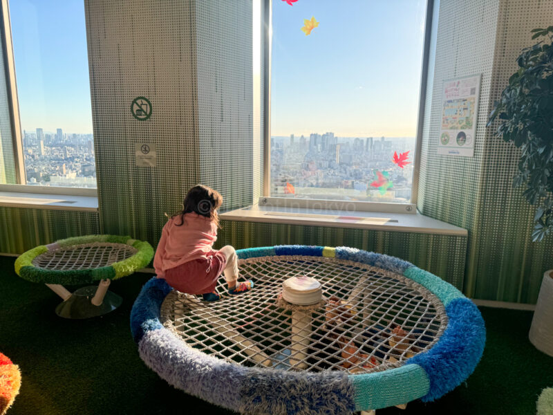 a child playing in Sunshine 60 Observatory Tenbou Park sunshine city