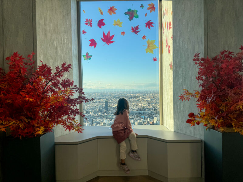 a child in sunshine city