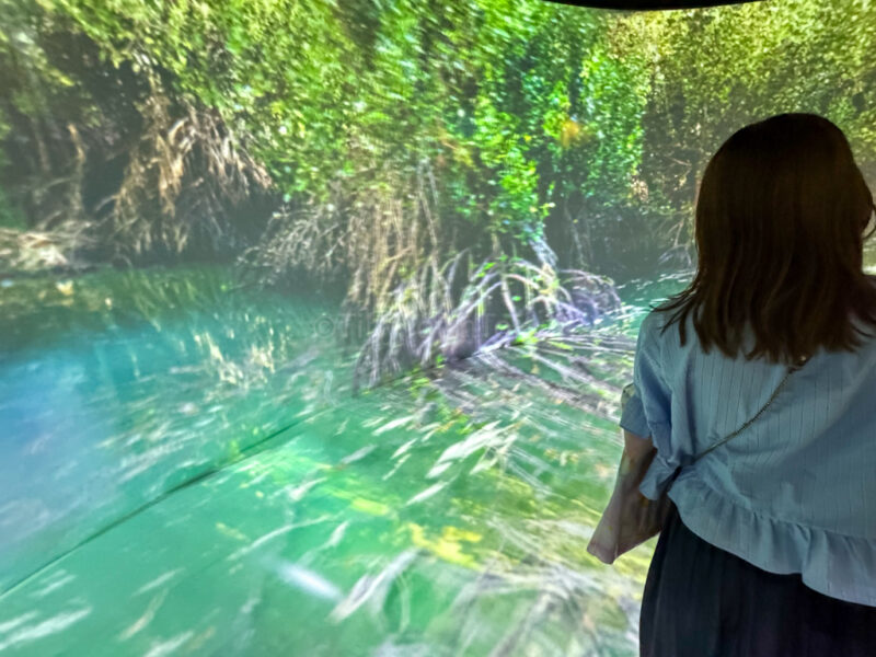 Inside Indonesia Pavilion at Osaka Expo 