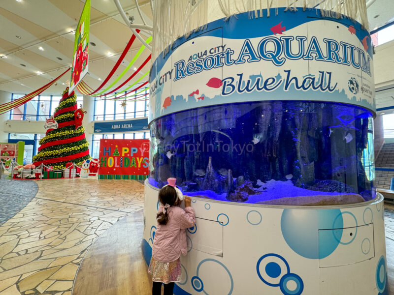 a child looking at an aquarium in Aqua City Odaiba