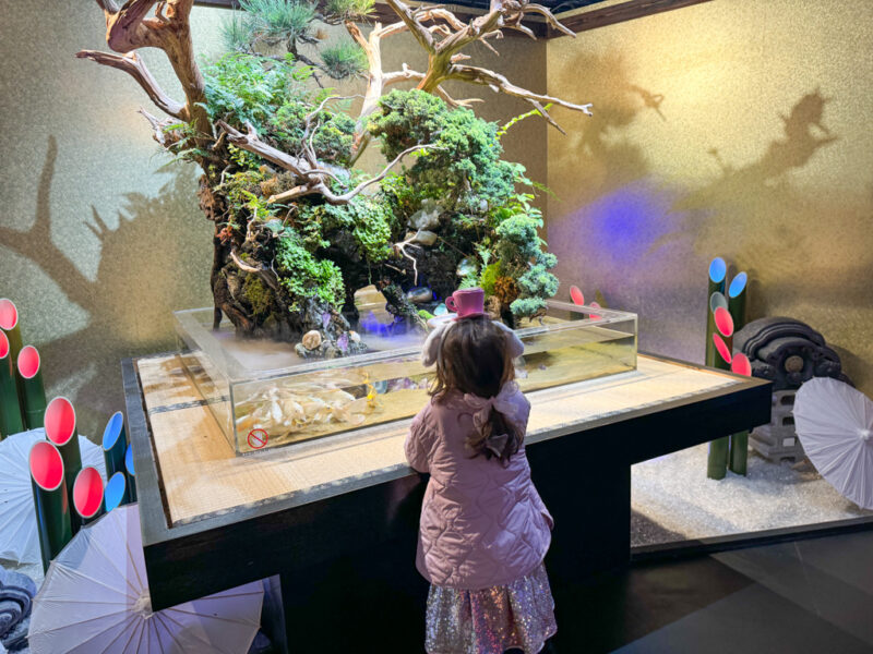 a child inside GA☆KYO aquarium in Odaiba
