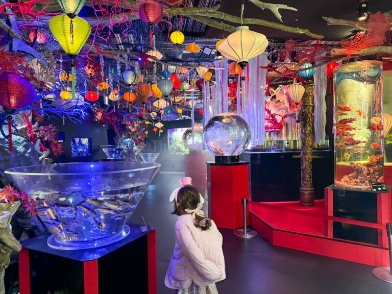 a child inside GA☆KYO aquarium in Odaiba