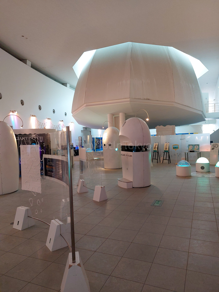 Inside the Hotaru Ika Museum