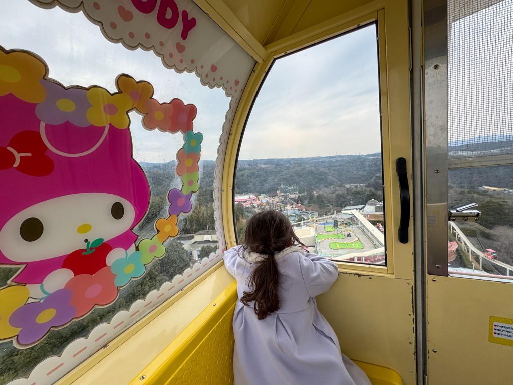 a child looking out of the window of the ferris wheel at harmonyland