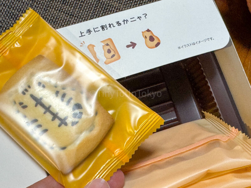 cat cookie from hiroshima