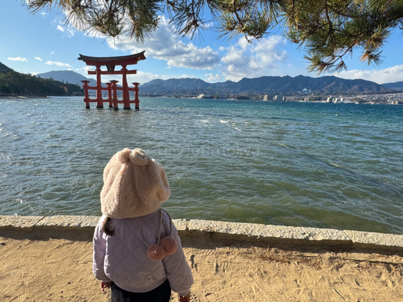 A child watching the Grand Torii Gate in Miyajima