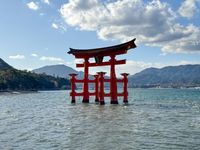 Miyajima's grand torii gate on the water in the afternoon 