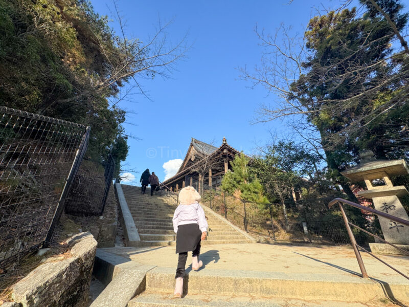 Stairs to Hokoku Shrine in Miyajima