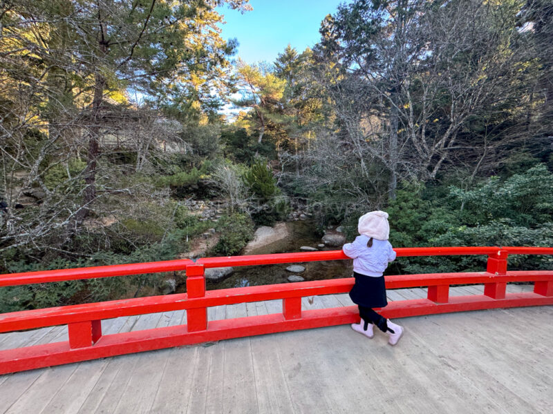 A child walking to Momijidani Station in Miyajima