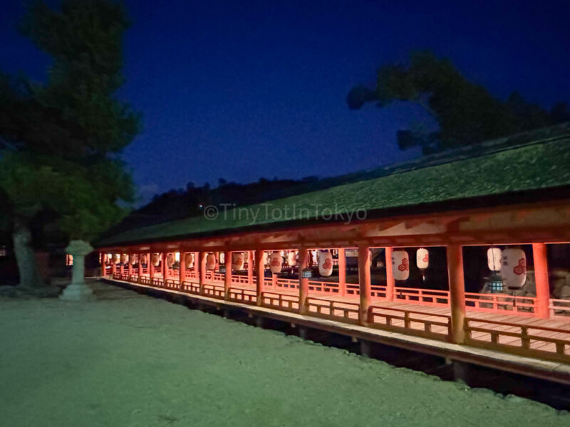 Itsukushima Shrine at night