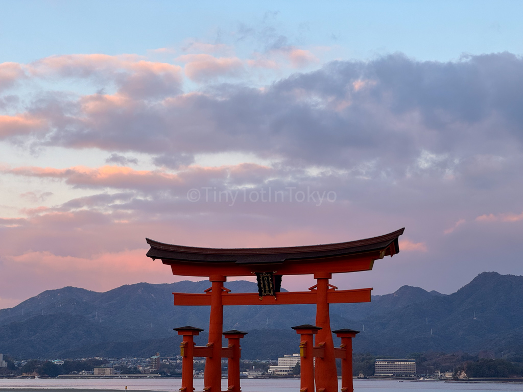 Miyajima's famous grand torii gate on the water in the early morning