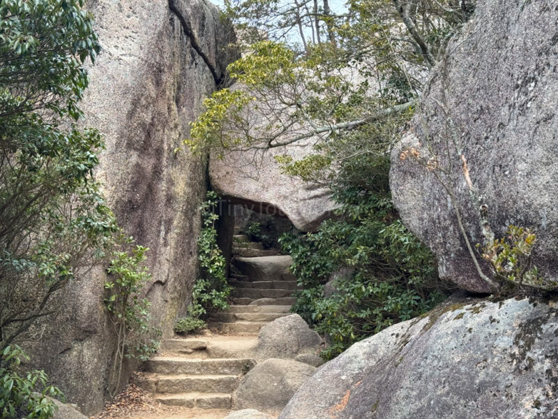 Path up to Mount Misen in Miyajima