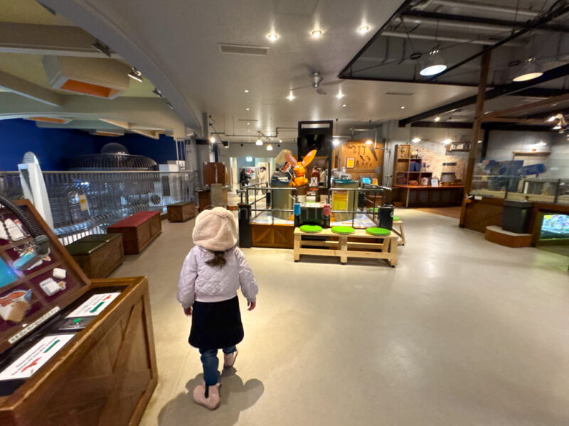 a child walking in a room in the 5-Days Children's Cultural Science Museum Hiroshima