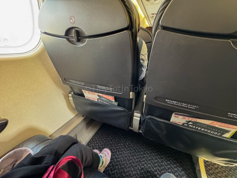 seats and leg room on a domestic japan airlines flight