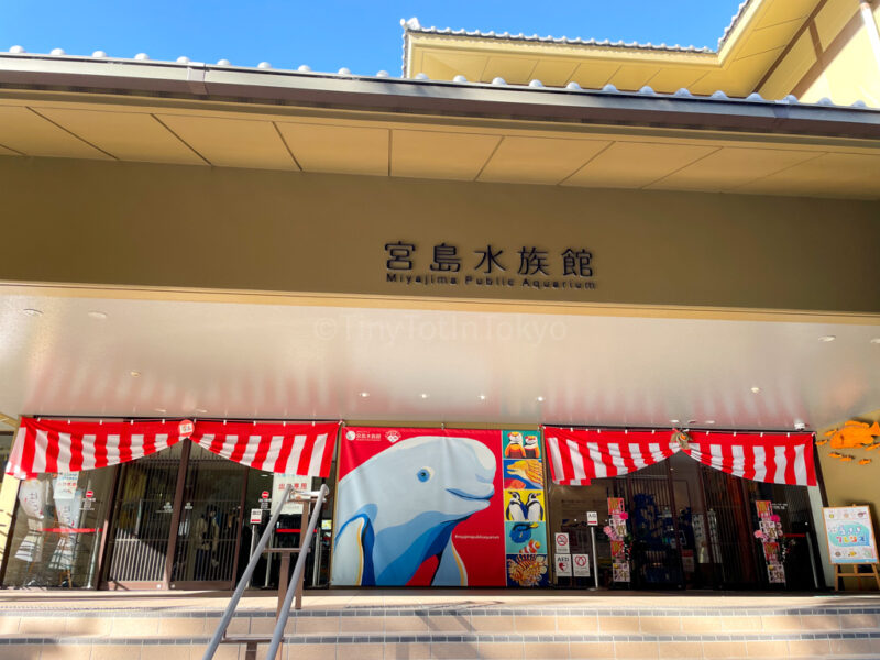Outside of Miyajima Aquarium