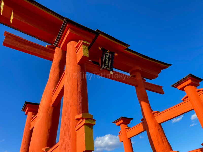The view of the grand torii gate in Miyajima from below