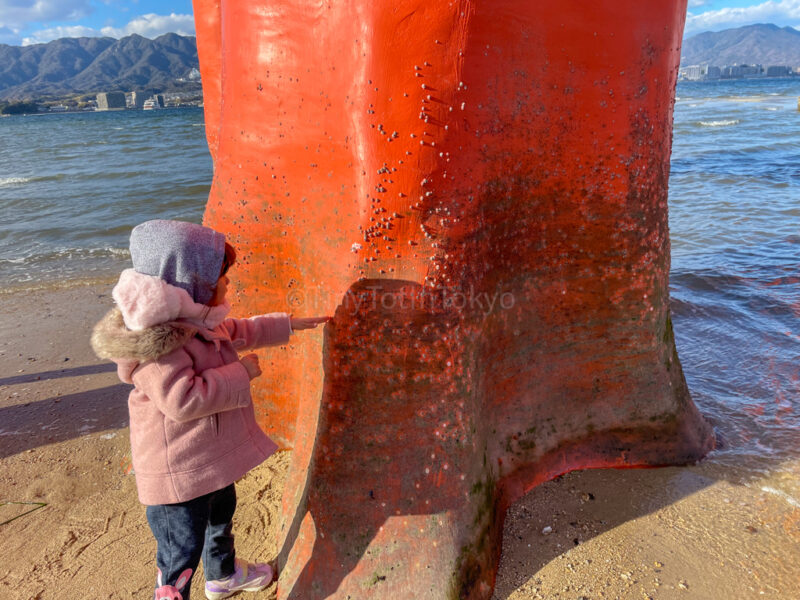 A child touching the grand torii gate in Miyajima during low ride