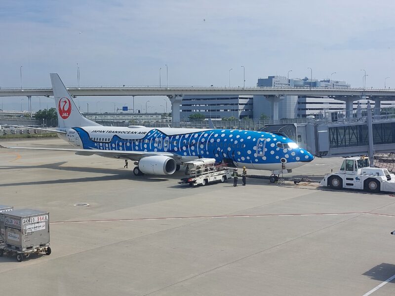 Whale Shark plane in Japan going to Okinawa