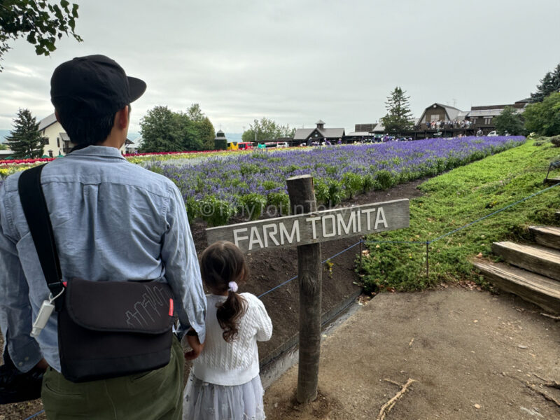 A child and their parent at farm tomita in furano