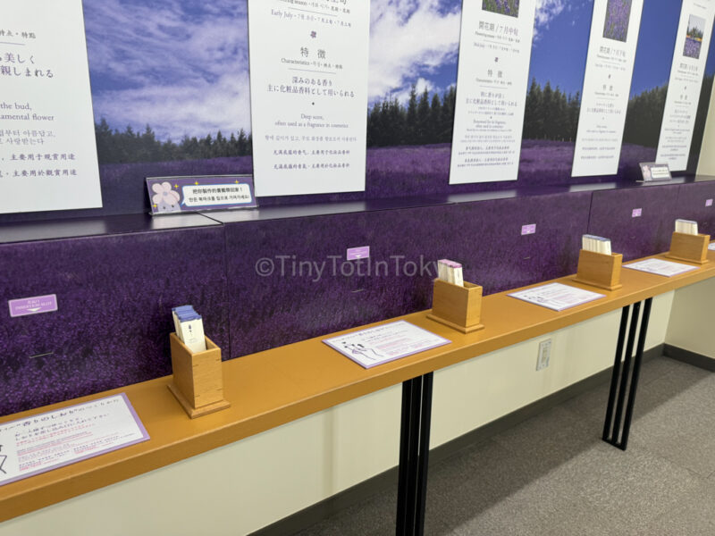 Fragrance bookmarks at Farm Tomita in Furano