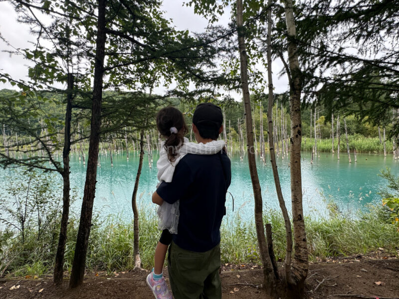 A father and child in front of the blue pond in biei hokkaido