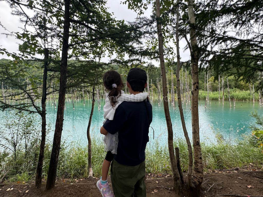 A father and child in front of the blue pond in biei hokkaido