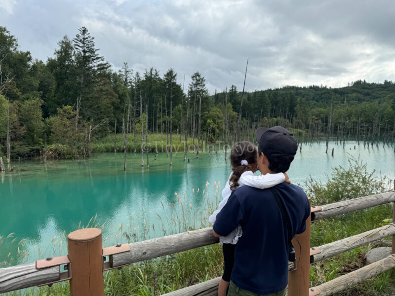 A father and child in front of the blue pond in hokkaido