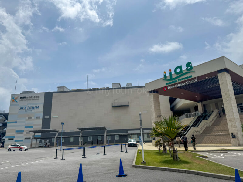 iias okinawa