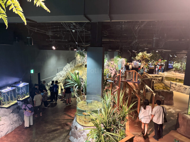 Inside DMM Kariyushi Aquarium Okinawa