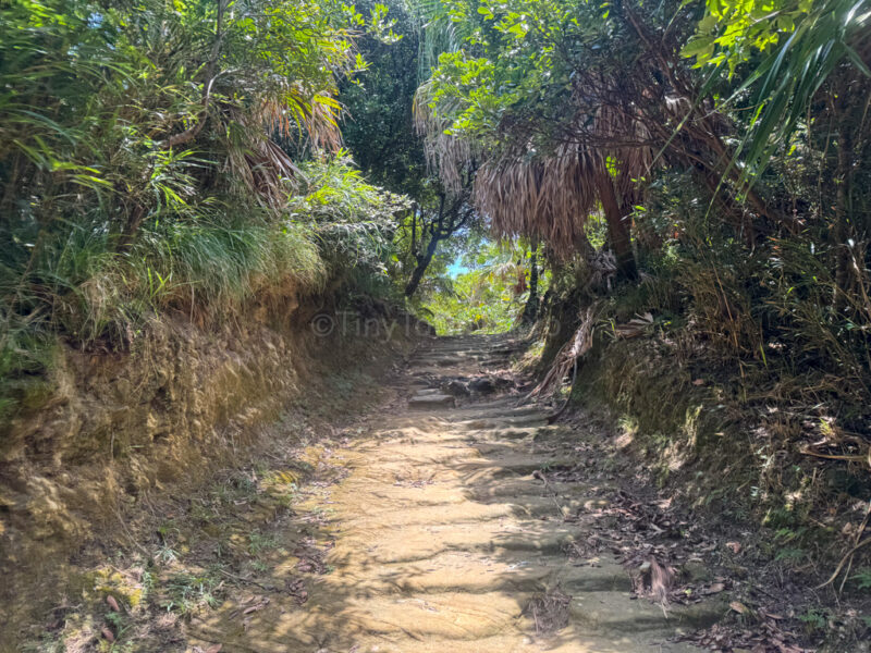 path to observation point in Aharen Beach at Tokashiki