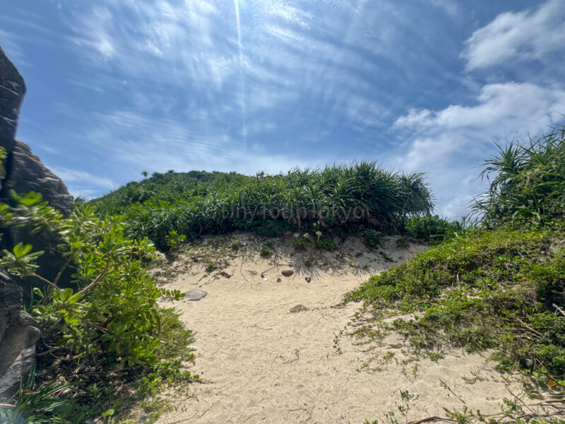 path to observation point at aharen beach in tokashiki