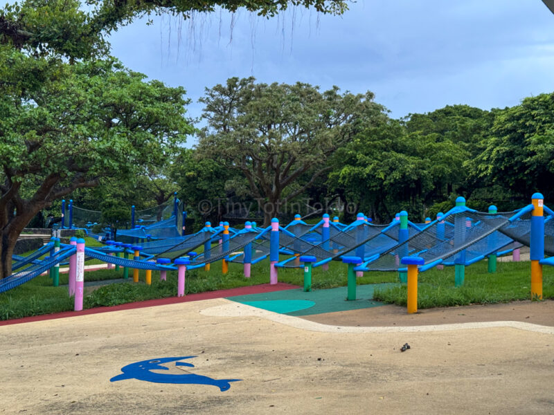 Kids Adventure Land at A child looking at Okinawa Churaumi Aquarium