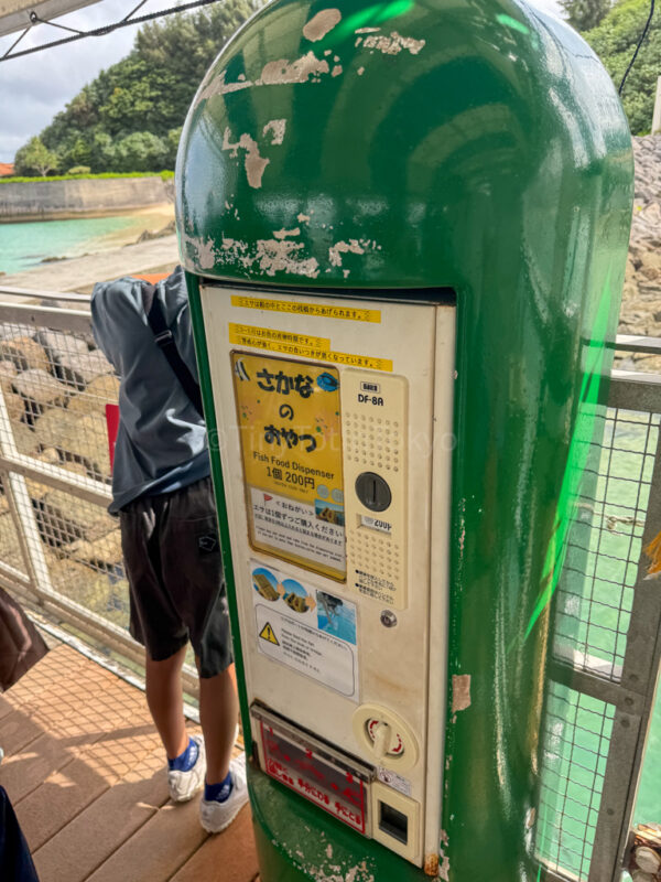 Machine for fish food at Busena glass boat ride 