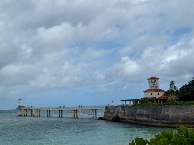 Busena Marine Park Underwater Observatory